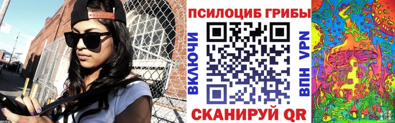 как найти Ртищево Псилоцибиновые грибы Magic Shrooms