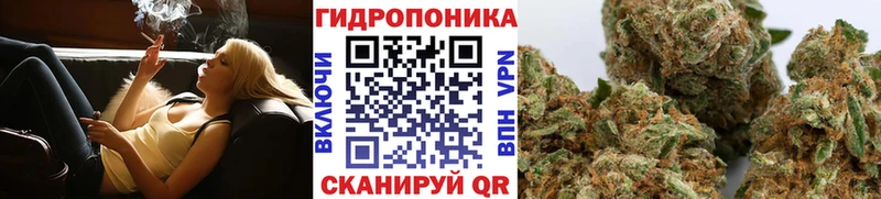 где купить наркоту  Ртищево  Конопля VHQ 